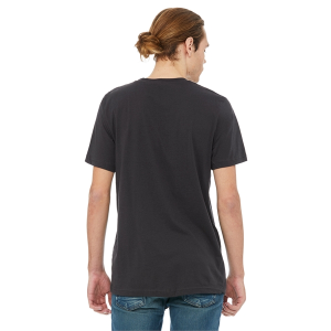 Bella+Canvas Unisex Triblend T-Shirt